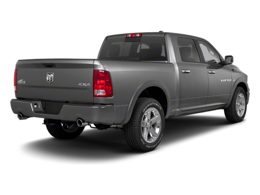 Used 2010 RAM Ram 1500 Pickup ST with VIN 1D7RB1CT7AS248416 for sale in Cullman, AL